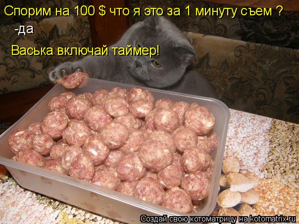 Спорим на 100 $ что я это за 1 минуту съем ? -да Васька включай таймер!... Котоматрица: Спорим на 100 $ что я это за 1 минуту съем ? -да Васька включай таймер!