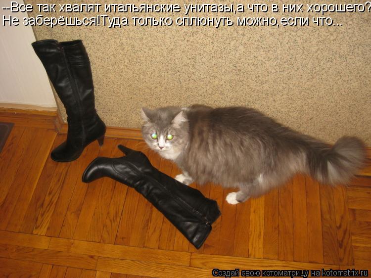 --Все так хвалят итальянские унитазы,а что в них хорошего? Не заберёшься!Туда только сплюнуть можно,е... Котоматрица: --Все так хвалят итальянские унитазы,а что в них хорошего? Не заберёшься!Туда только сплюнуть можно,если что...