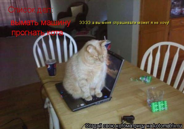 Котоматрица: Список дел: вымать машину прогнать кота ЭЭЭЭ а вы меня спрашивали может я не хочу!