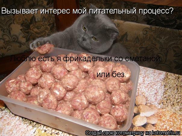Котоматрица: Вызывает интерес мой питательный процесс? Люблю есть я фрикадельки со сметаной... или без.