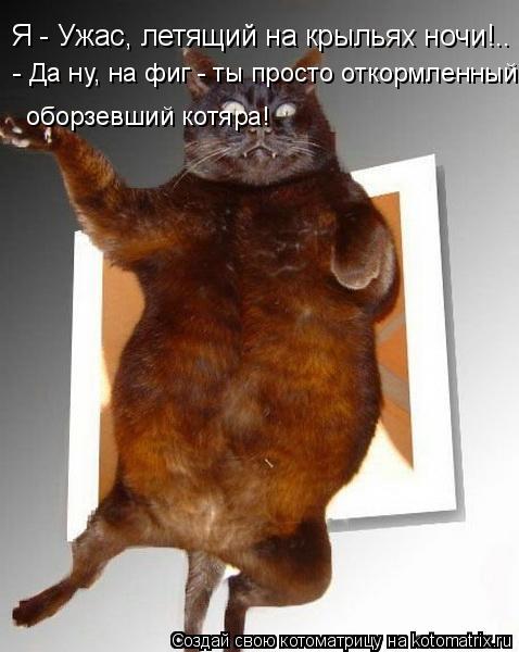 Котоматрица: Я - Ужас, летящий на крыльях ночи!..  - Да ну, на фиг - ты просто откормленный оборзевший котяра!