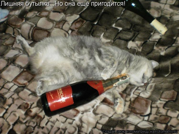 Котоматрица: Лишняя бутылка...Но она ещё пригодится!