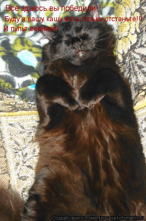 Котоматрица: Всё здаюсь вы победили! Буду я вашу кашу есть только отстаньте!!! И пульт верните!
