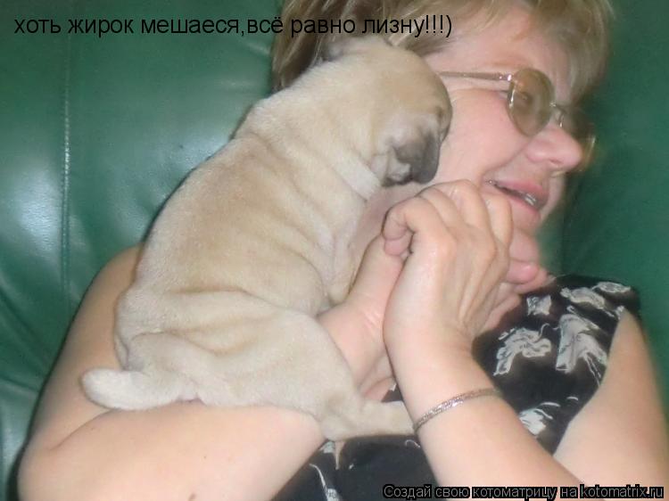 Котоматрица: хоть жирок мешаеся,всё равно лизну!!!)