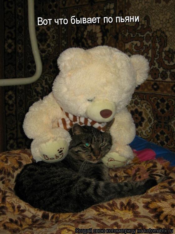Вот что бывает по пьяни... Котоматрица: Вот что бывает по пьяни