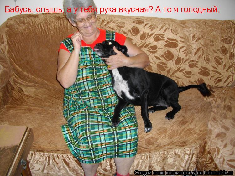 Котоматрица: Бабусь, слышь, а у тебя рука вкусная? А то я голодный.