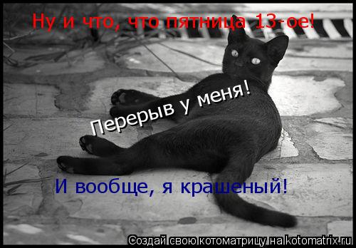 Котоматрица: Ну и что, что пятница 13-ое!  Перерыв у меня! И вообще, я крашеный!