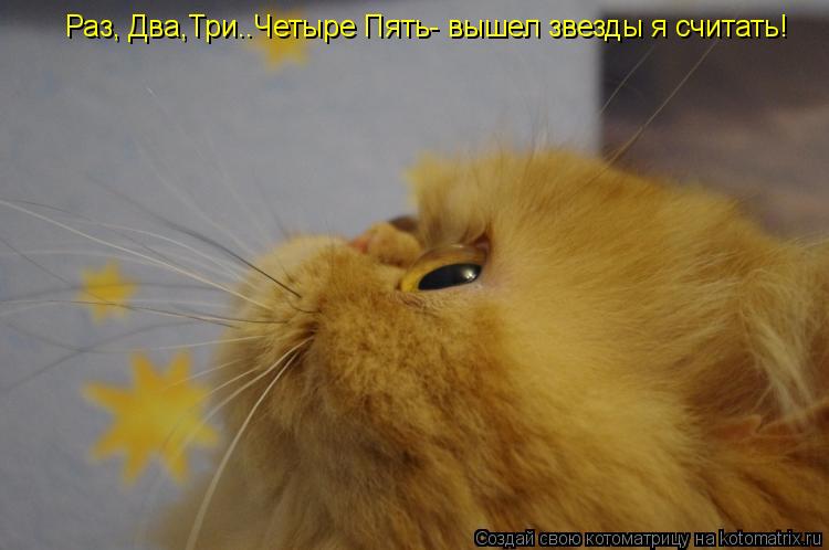Котоматрица: Раз, Два,Три..Четыре Пять- вышел звезды я считать!
