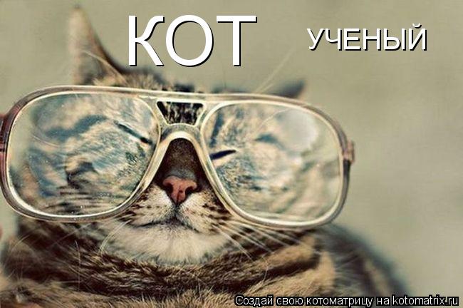 Котоматрица: КОТ УЧЕНЫЙ