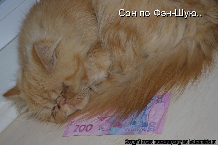 Котоматрица: Сон по Фэн-Шую..