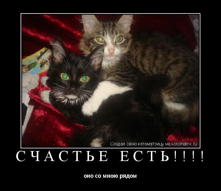 Котоматрица: счастье есть!!!! оно со мною рядом