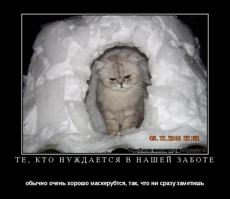 Те, кто нуждается в нашей заботе обычно очень хорошо маскерубтся, так, что ни сразу заметишь... Котоматрица: Те, кто нуждается в нашей заботе обычно очень хорошо маскерубтся, так, что ни сразу заметишь