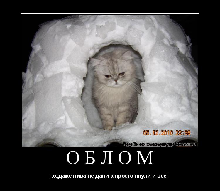 Котоматрица: облом эх,даже пива не дали а просто пнули и всё!