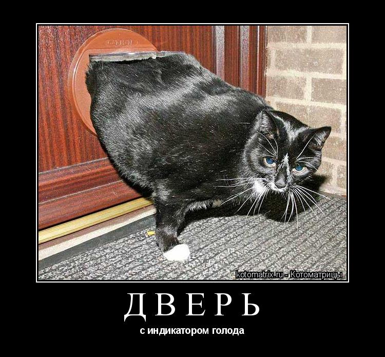Дверь с индикатором голода... Котоматрица: Дверь с индикатором голода
