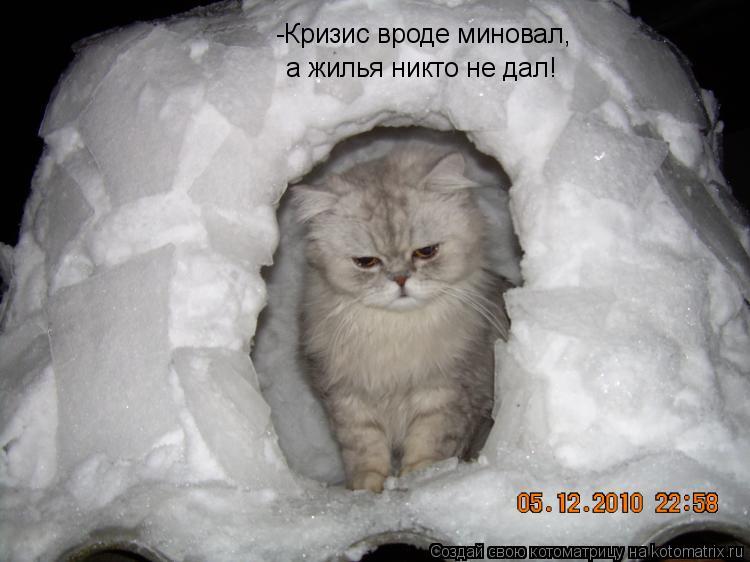 Котоматрица: -Кризис вроде миновал, а жилья никто не дал!