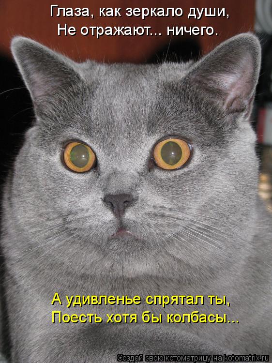 Котоматрица: Глаза, как зеркало души, Поесть хотя бы колбасы... Не отражают... ничего. А удивленье спрятал ты,