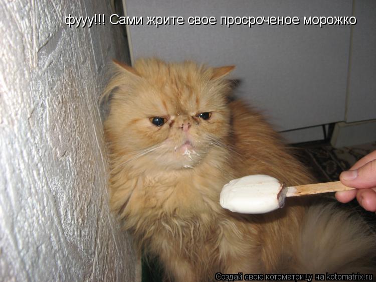 Котоматрица: фууу!!! Сами жрите свое просроченое морожко