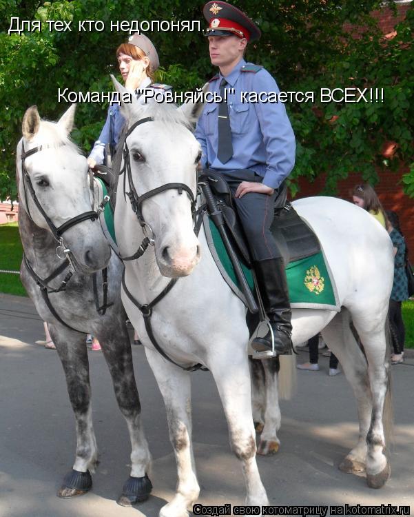 Котоматрица: Команда "Ровняйсь!" касается ВСЕХ!!! Для тех кто недопонял...Команда "Ровняйсь!" касается ВСЕХ!!! Для тех кто недопонял...