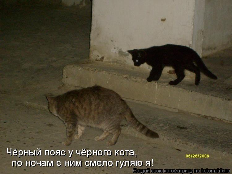 Котоматрица: Чёрный пояс у чёрного кота, по ночам с ним смело гуляю я!