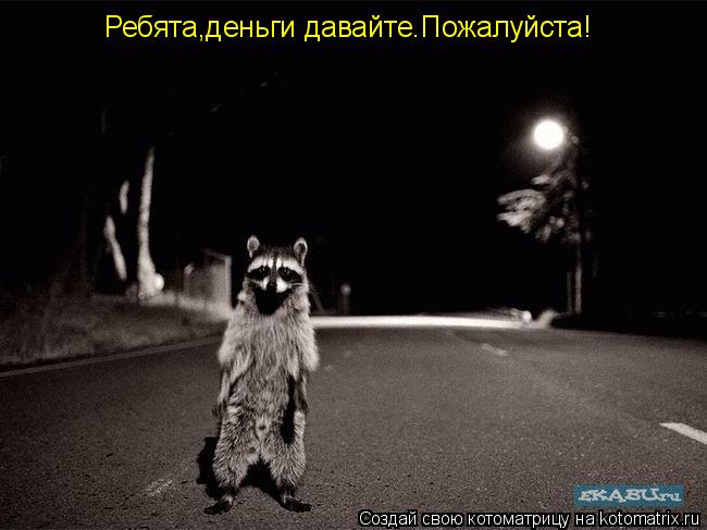 Ребята,деньги давайте.Пожалуйста!... Котоматрица: Ребята,деньги давайте.Пожалуйста!