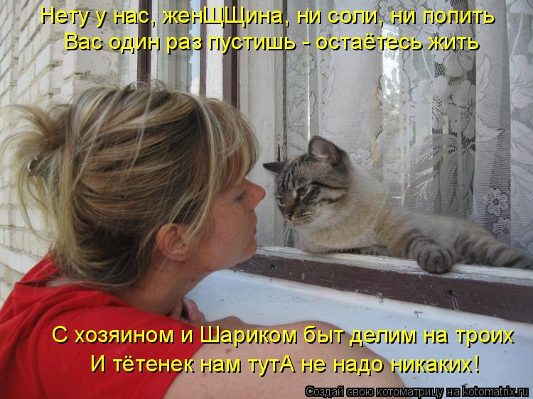 Котоматрица: Нету у нас, женЩЩина, ни соли, ни попить Вас один раз пустишь - остаётесь жить С хозяином и Шариком быт делим на троих И тётенек нам тутА не на