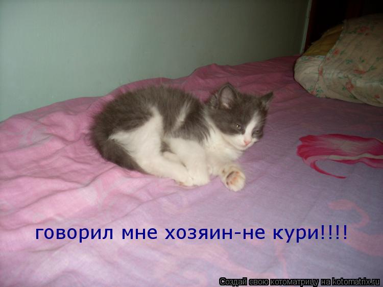 говорил мне хозяин-не кури!!!!... Котоматрица: говорил мне хозяин-не кури!!!!