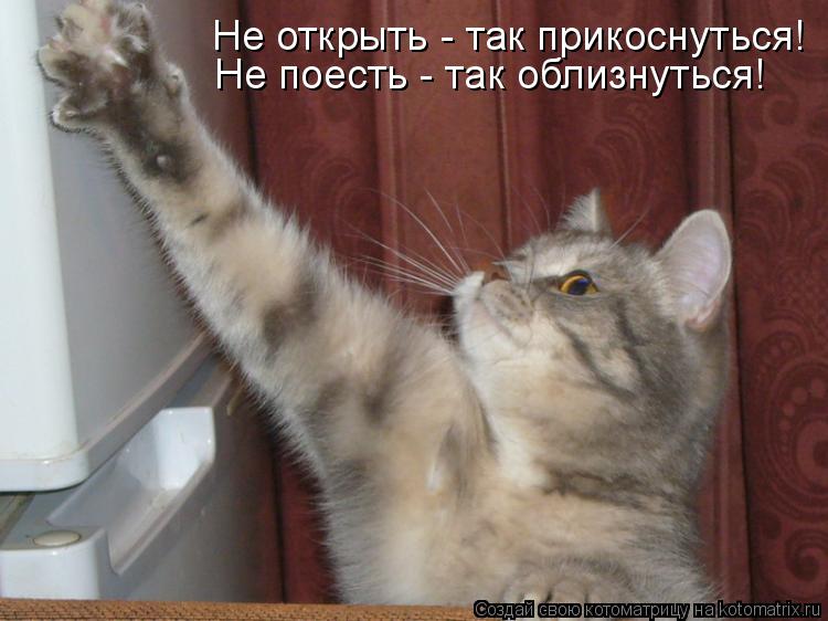 Не открыть - так прикоснуться! Не поесть - так облизнуться!... Котоматрица: Не открыть - так прикоснуться! Не поесть - так облизнуться!