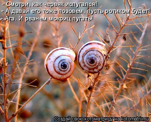 - Смотри, как червяк испугался! - А давай его тоже позовем, пусть ротиком будет! - Ага. И рванем мокр... Котоматрица: - Смотри, как червяк испугался! - А давай его тоже позовем, пусть ротиком будет! - Ага. И рванем мокриц пугать!