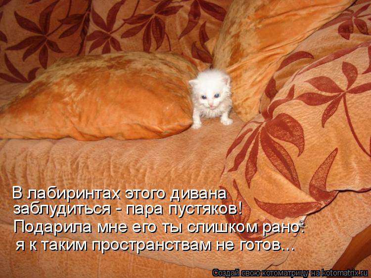 В лабиринтах этого дивана заблудиться - пара пустяков! я к таким пространствам не готов... Подарила м... Котоматрица: В лабиринтах этого дивана заблудиться - пара пустяков! я к таким пространствам не готов... Подарила мне его ты слишком рано: