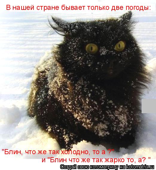 В нашей стране бывает только две погоды: "Блин, что же так холодно, то а ?" и "Блин что же так жарко... Котоматрица: В нашей стране бывает только две погоды: "Блин, что же так холодно, то а ?" и "Блин что же так жарко то, а? "