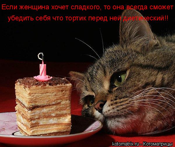 Котоматрица: Если женщина хочет сладкого, то она всегда сможет убедить себя что тортик перед ней диетический!!  убедить себя что тортик перед ней диетиче