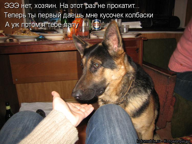 ЭЭЭ нет, хозяин. На этот раз не прокатит... Теперь ты первый даешь мне кусочек колбаски А уж потом я ... Котоматрица: ЭЭЭ нет, хозяин. На этот раз не прокатит... Теперь ты первый даешь мне кусочек колбаски А уж потом я тебе лапу