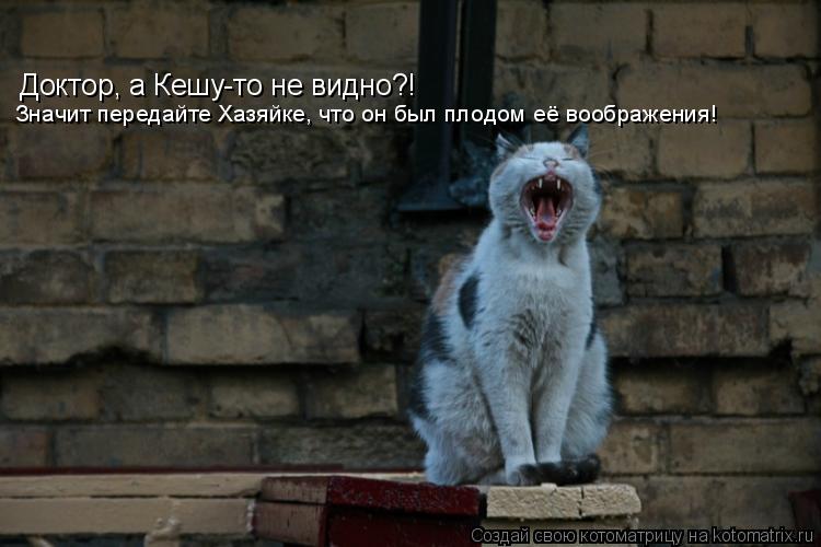 Доктор, а Кешу-то не видно?! Значит передайте Хазяйке, что он был плодом её воображения!... Котоматрица: Доктор, а Кешу-то не видно?! Значит передайте Хазяйке, что он был плодом её воображения!