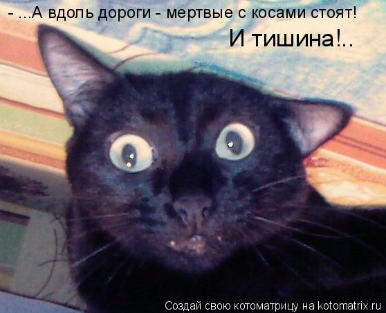 - ...А вдоль дороги - мертвые с косами стоят! И тишина!..... Котоматрица: - ...А вдоль дороги - мертвые с косами стоят! И тишина!..
