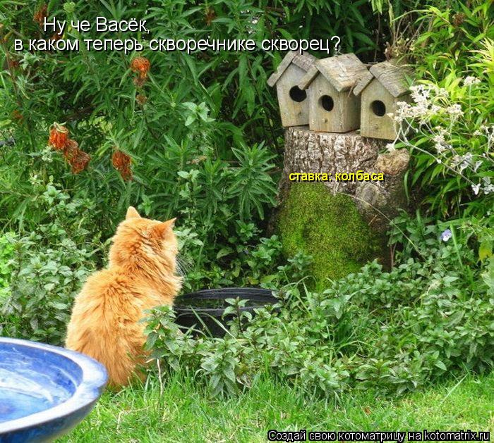 Ну че Васёк, в каком теперь скворечнике скворец? ставка: колбаса... Котоматрица: Ну че Васёк, в каком теперь скворечнике скворец? ставка: колбаса