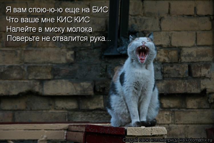 Котоматрица: Что ваше мне КИС КИС Налейте в миску молока Поверьте не отвалится рука... Я вам спою-ю-ю еще на БИС