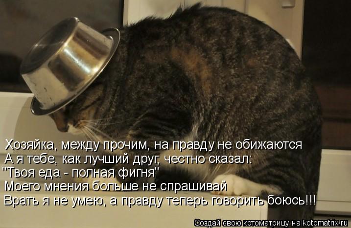 Котоматрица: Хозяйка, между прочим, на правду не обижаются А я тебе, как лучший друг, честно сказал: "Твоя еда - полная фигня" Моего мнения больше не спраши