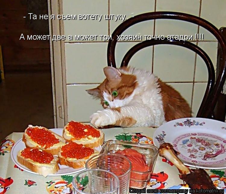 Котоматрица: - Та не я съем вотету штуку.. А может две а может три, хозяин точно атадри. !!!!