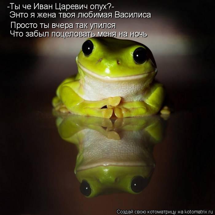 -Ты че Иван Царевич опух?- Просто ты вчера так упился Что забыл поцеловать меня на ночь Энто я жена т... Котоматрица: -Ты че Иван Царевич опух?- Просто ты вчера так упился Что забыл поцеловать меня на ночь Энто я жена твоя любимая Василиса