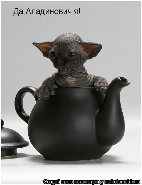 Котоматрица: Да Аладинович я!