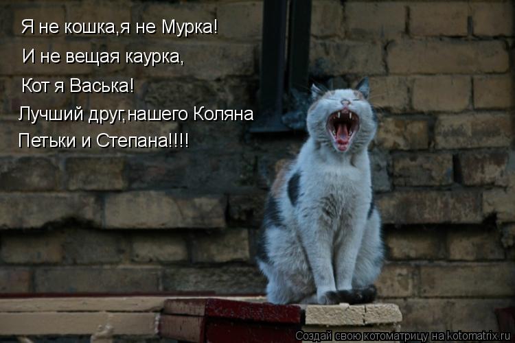 Котоматрица: Я не кошка,я не Мурка! И не вещая каурка, Кот я Васька! Лучший друг,нашего Коляна Петьки и Степана!!!!