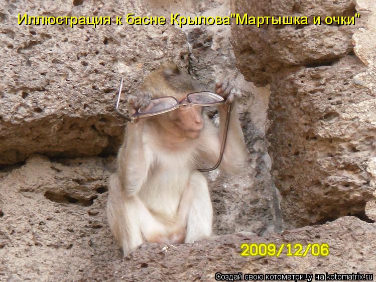 Котоматрица: Иллюстрация к басне Крылова"Мартышка и очки"