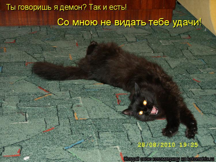 Котоматрица: Ты говоришь я демон? Так и есть! Со мною не видать тебе удачи!