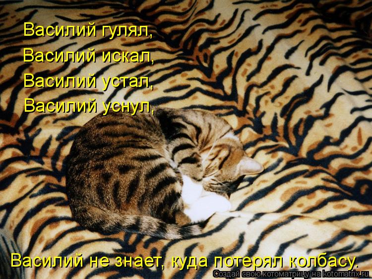 Котоматрица: Василий гулял, Василий искал, Василий устал, Василий уснул, Василий не знает, куда потерял колбасу.