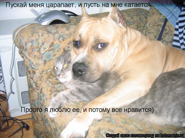 Котоматрица: Пускай меня царапает , и пусть на мне катается... Просто я люблю ее, и потому все нравится)