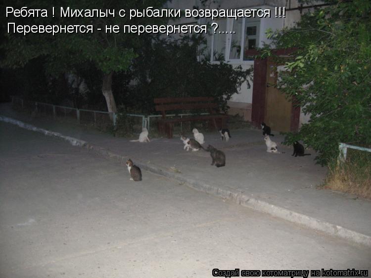 Котоматрица: Перевернется - не перевернется ?..... Ребята ! Михалыч с рыбалки возвращается !!!