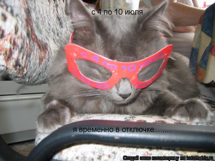Котоматрица: с 4 по 10 июля я временно в отключке........