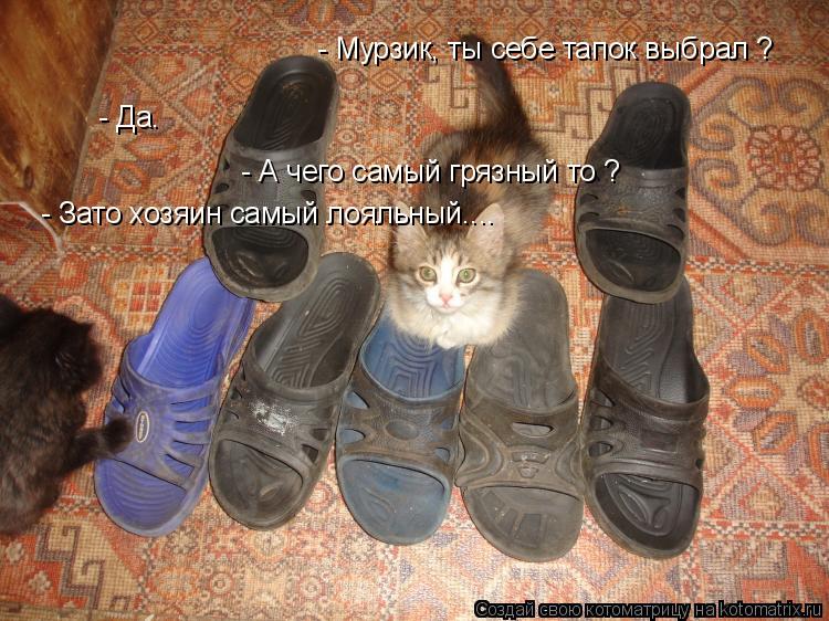 Котоматрица: - Мурзик, ты себе тапок выбрал ? - Да. - А чего самый грязный то ? - Зато хозяин самый лояльный....