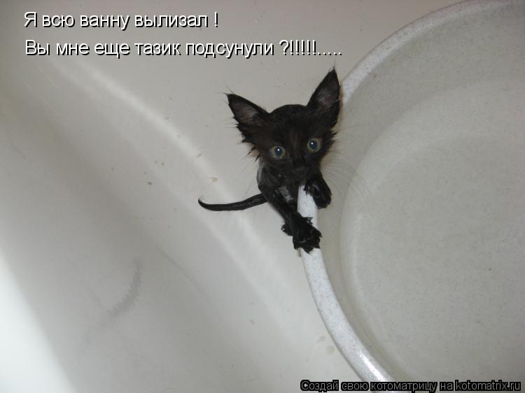 Котоматрица: Вы мне еще тазик подсунули ?!!!!!..... Я всю ванну вылизал !