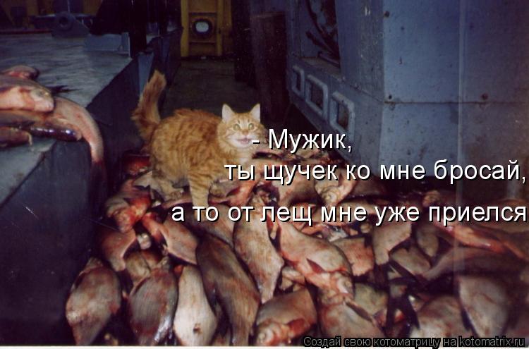 Котоматрица: - Мужик,  ты щучек ко мне бросай,  а то от лещ мне уже приелся!